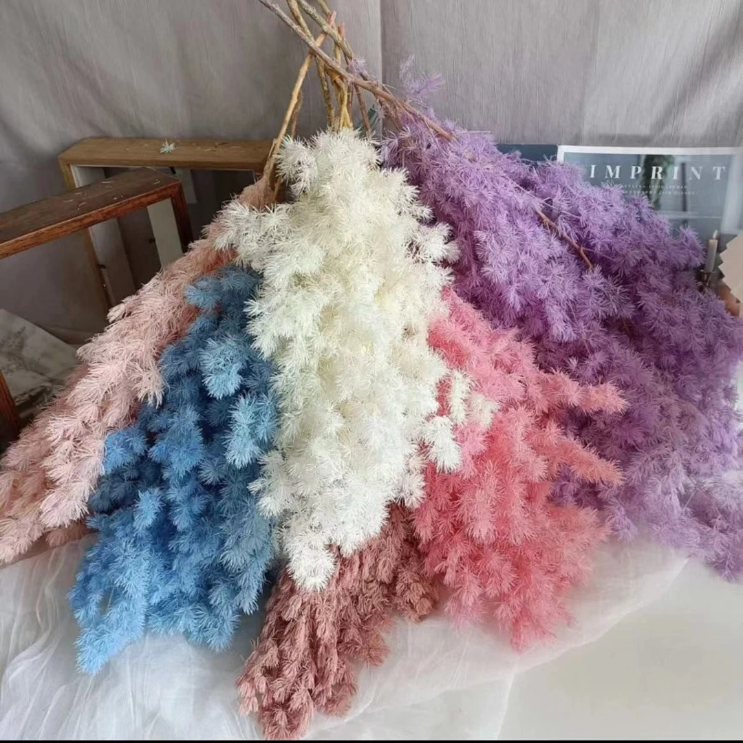 永生蓬莱松工厂批发花店手工花材DIY家庭插花保鲜观赏节日工艺