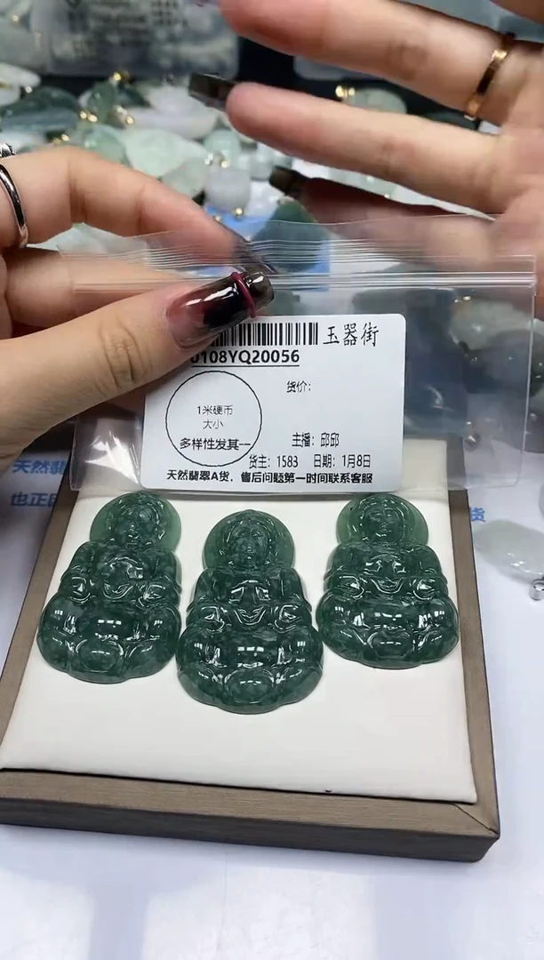 【闪购商品】翡翠颈饰未镶嵌多样性