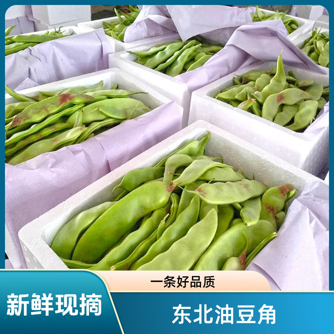 东北油豆角新鲜蔬菜一点红油豆角面豆角开锅烂九月青包邮现摘新鲜