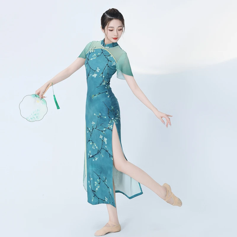 2023新款古典舞旗袍舞蹈服练功演出服跳舞专用开叉弹力国风形体服