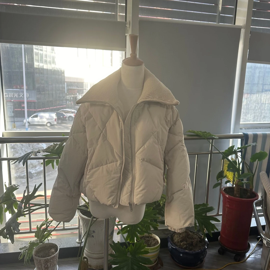 休闲百搭韩版短款羽绒服