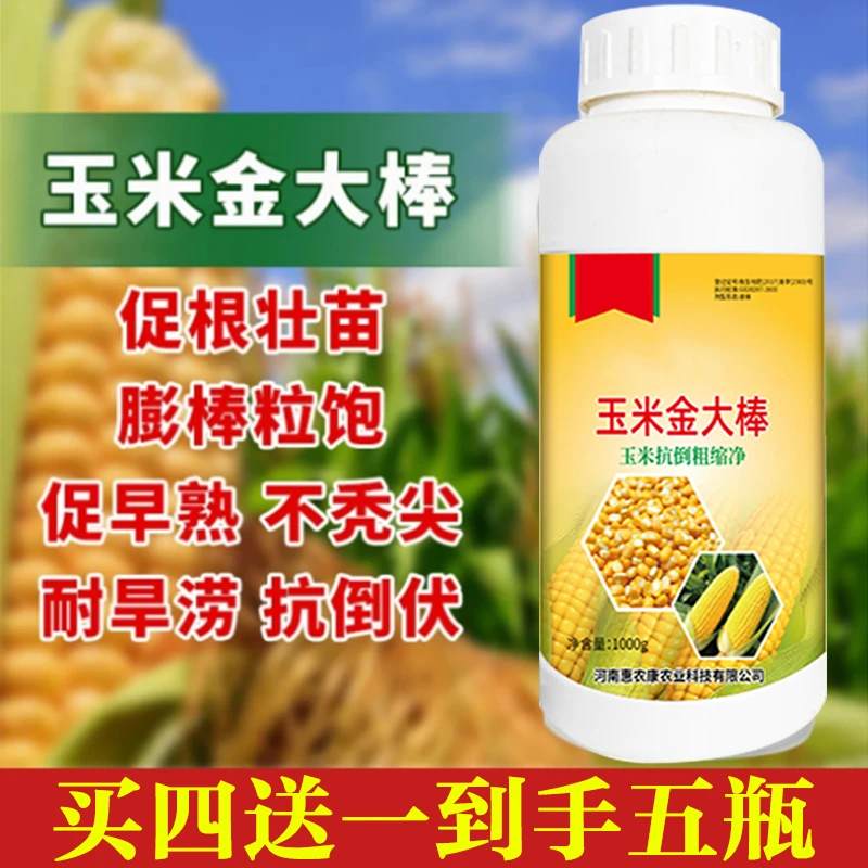 玉米金大棒【多买多送】玉米通用抽穗壮苗抗旱涝微生物菌剂抗倒伏