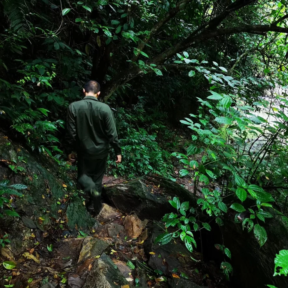 旿子茗2014年宫廷熟茶 散茶 普洱茶熟茶 150克/盒