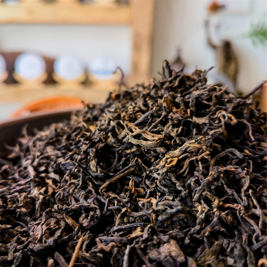 旿子茗2023年易武苍野老茶头古树熟茶头春纯料100克/罐普洱茶熟茶