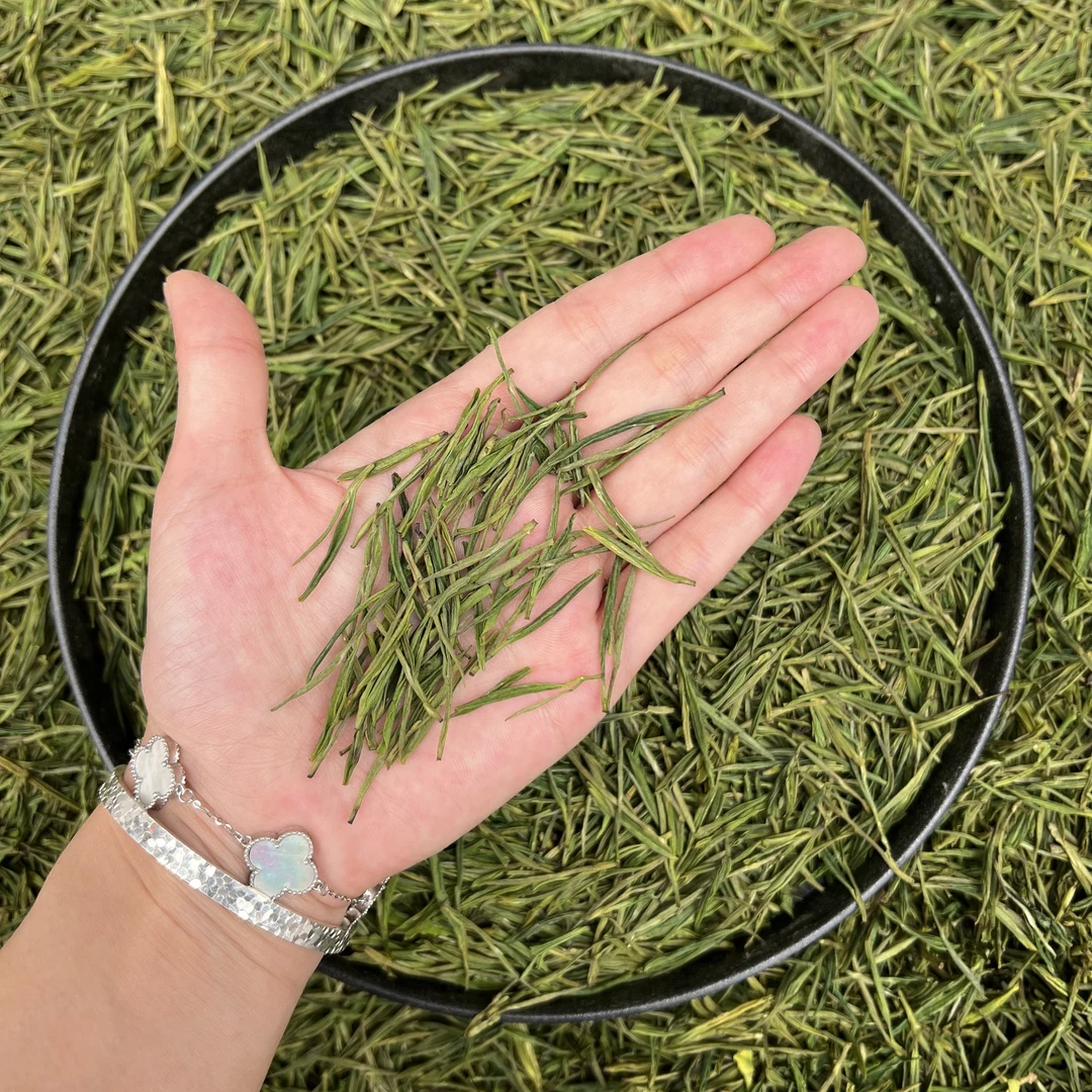 2025新茶  白茶毛峰   （250g/500g）罐装 （3）