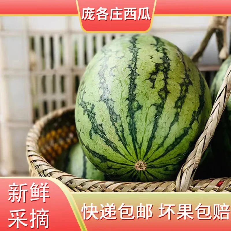 【2粒装7-8斤】庞各庄头茬小吊瓜自然成熟脆甜多汁