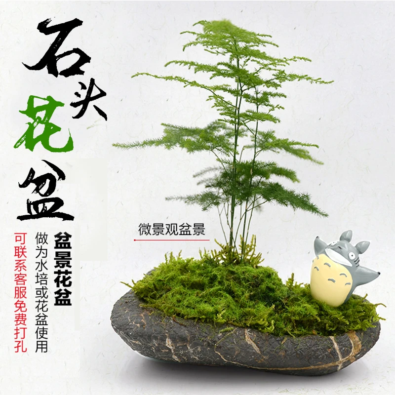 天然石头花盆创意艺术石头花盆个性烟灰缸禅意造景苔藓微景观盆景