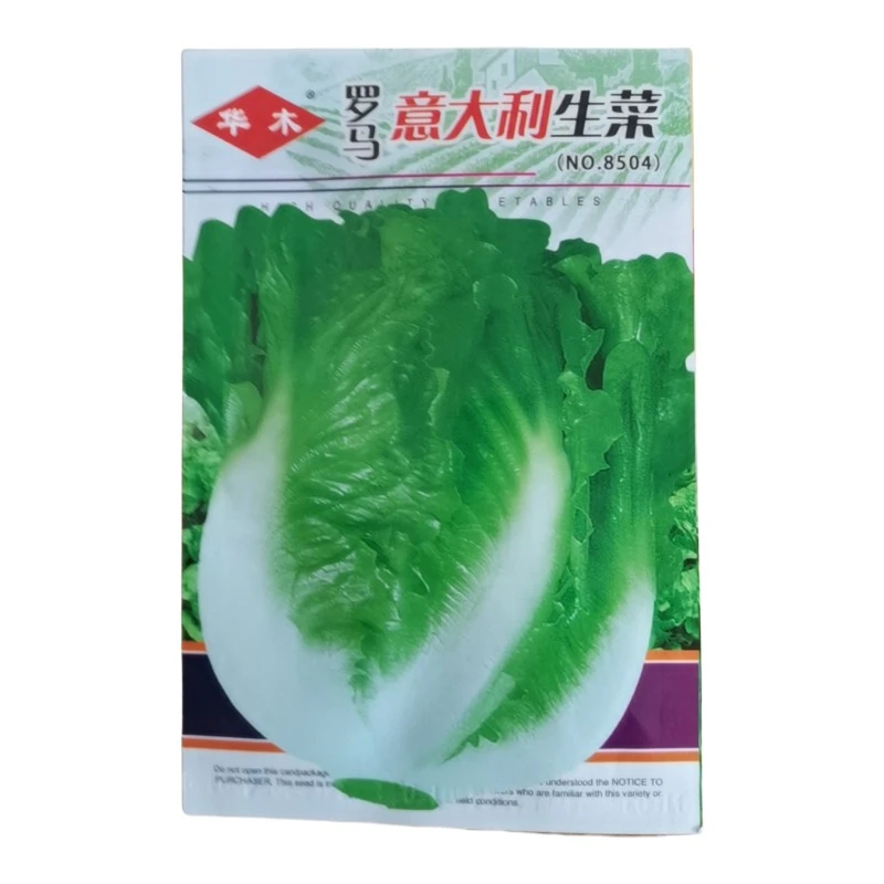 （拍2发3）意大利生菜种籽生菜种籽种孑生菜种子四季玻璃生菜菜种植