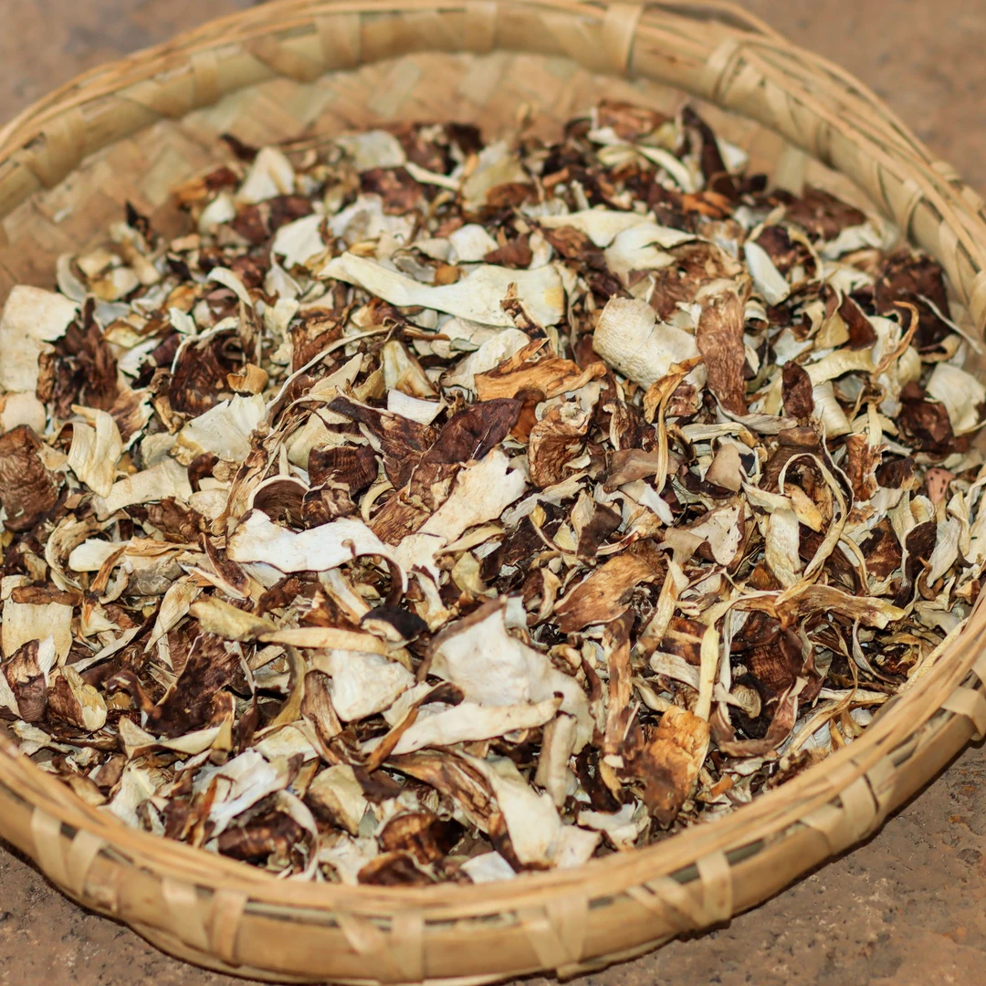 云南野生菌松茸皮炖汤非常香