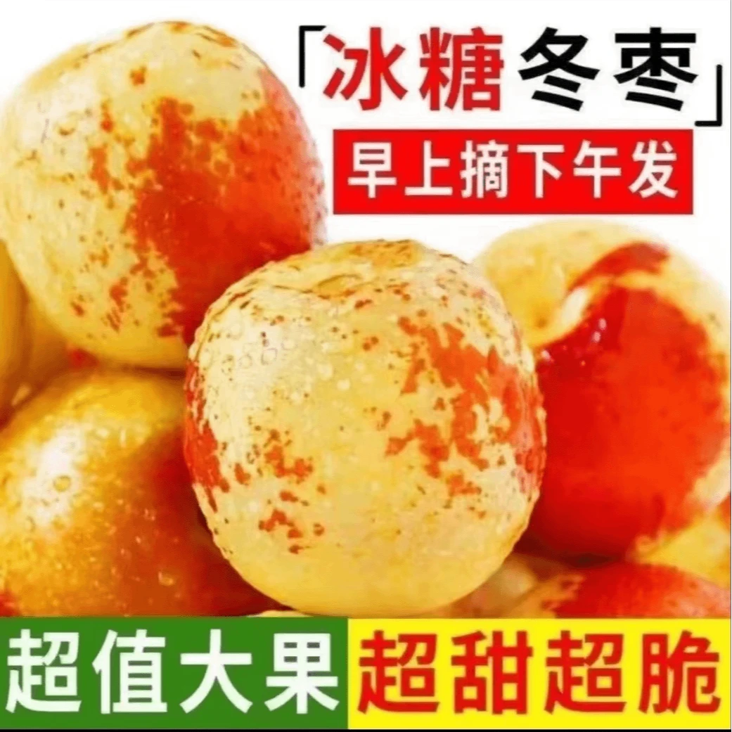 冬枣【第一批采摘中】品质大果新鲜脆甜肉厚皮薄爽口香