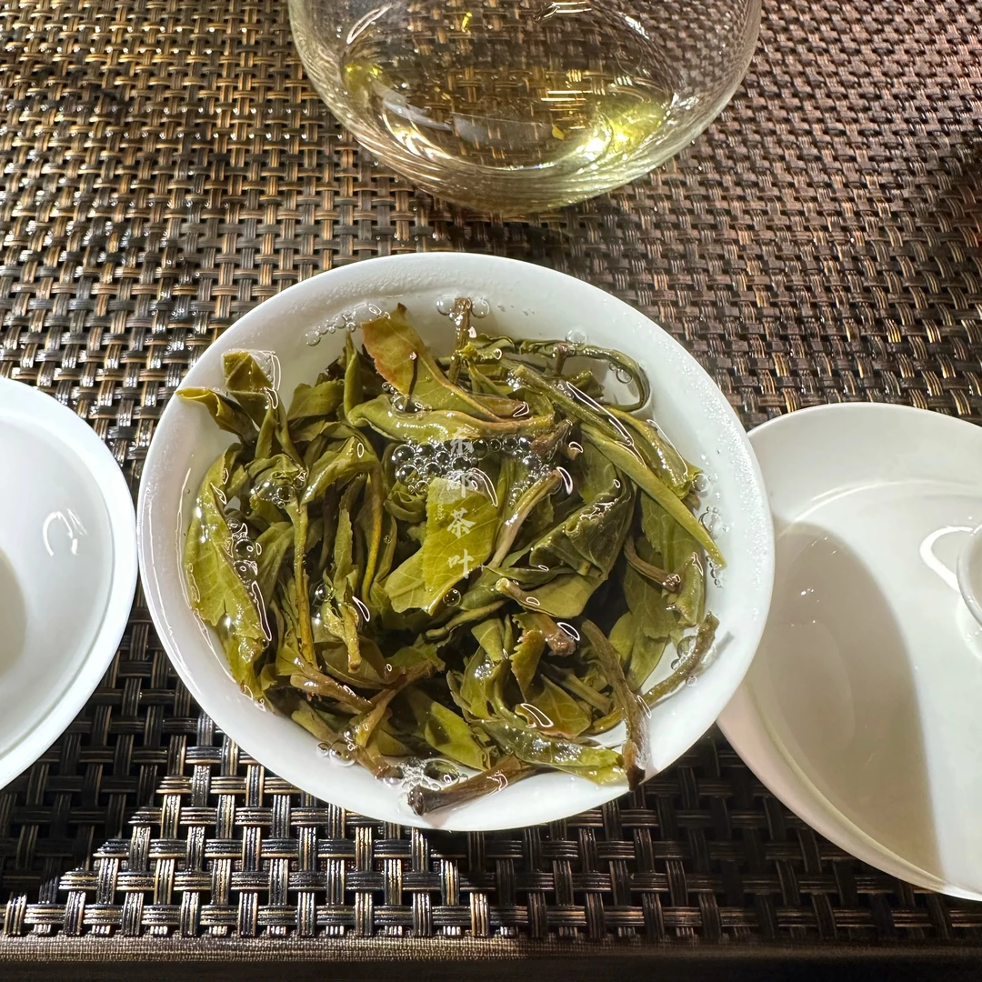 2023年普洱生茶（勐库头春大树）袋装