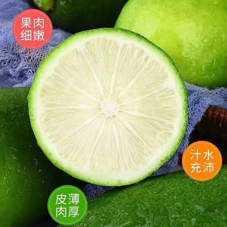 广西香水柠檬2斤装大小混装