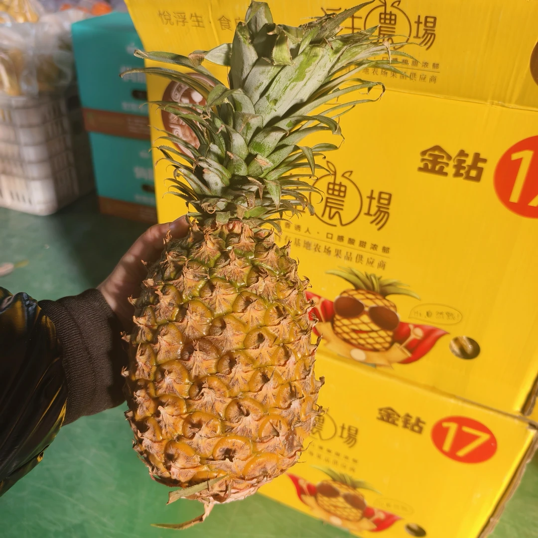 黑标凤梨1个（切盒）