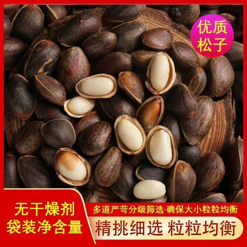 2024年云南新鲜松子生吃原味颗粒饱满1斤/2斤