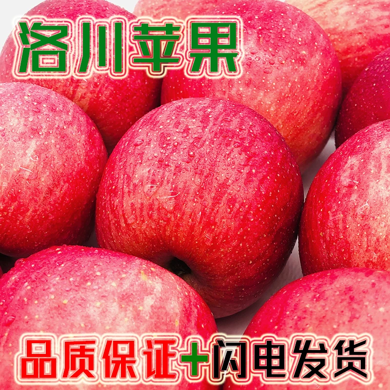 朝道臻品正宗洛川苹果脆甜陕西延安红富士无糖心当季新鲜水果