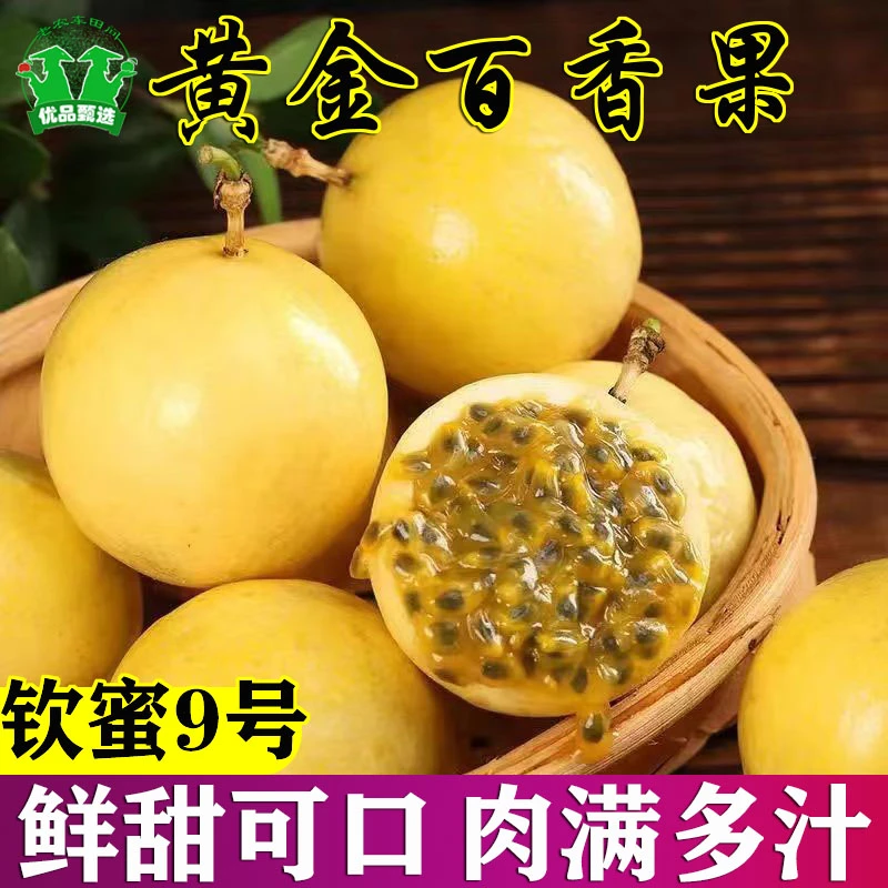 广东正宗香甜酸可口钦蜜9号黄金百香果现摘现发香甜多汁1-5斤装