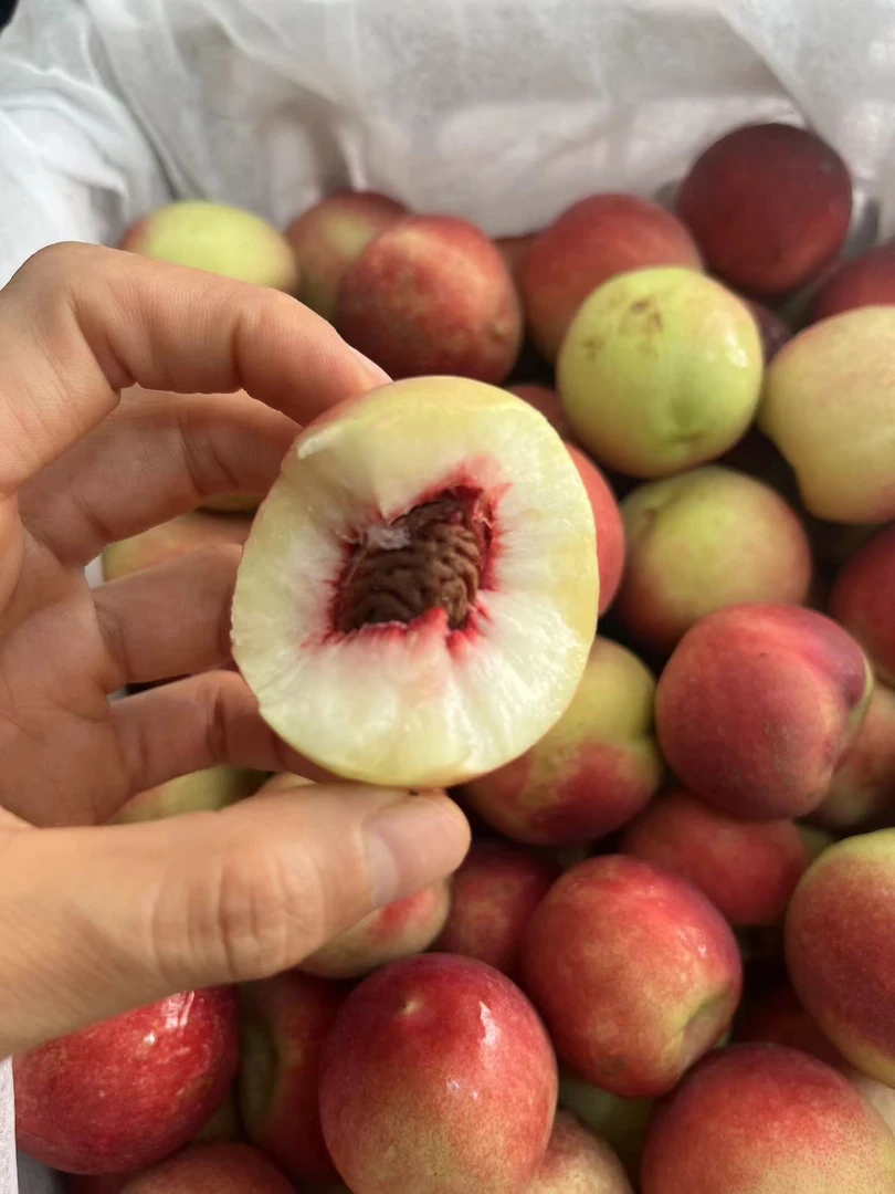 珍珠枣油桃一份2斤 脆甜离核