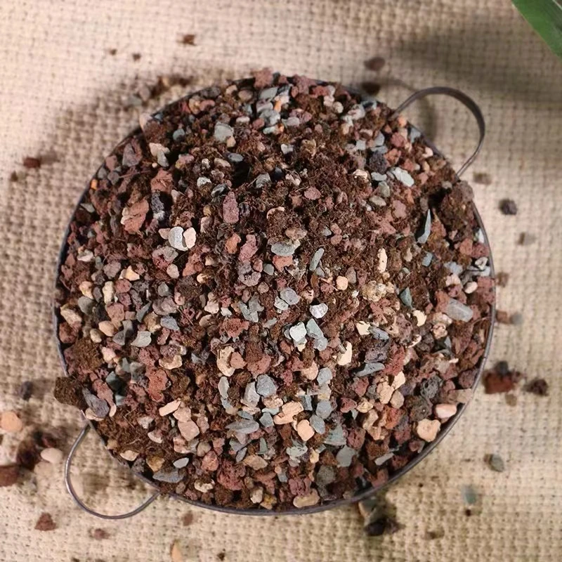 多肉植物颗粒土控养精品专用百分之七十左右营养土颗粒土品氏泥土