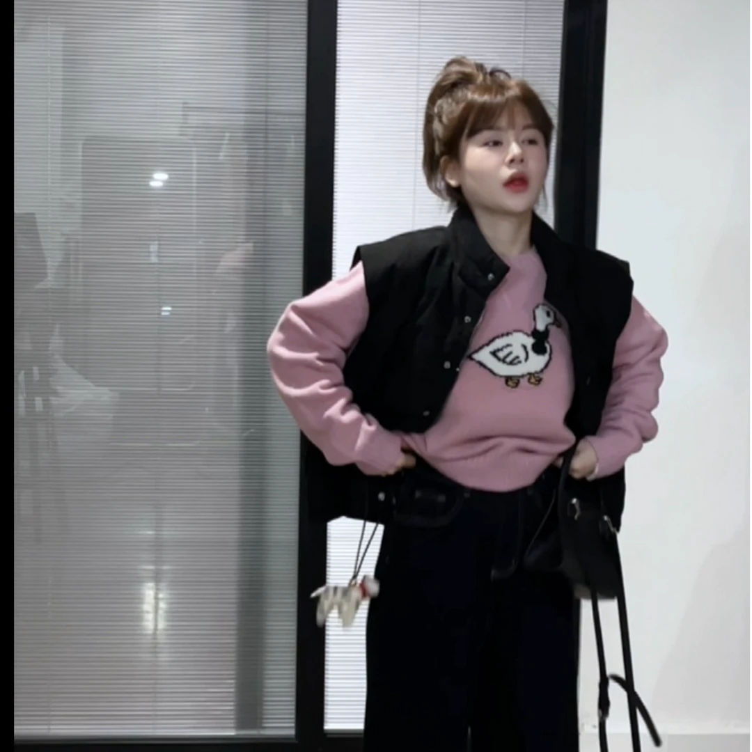 全羊毛韩系圆领鸭子套头毛衣 X03