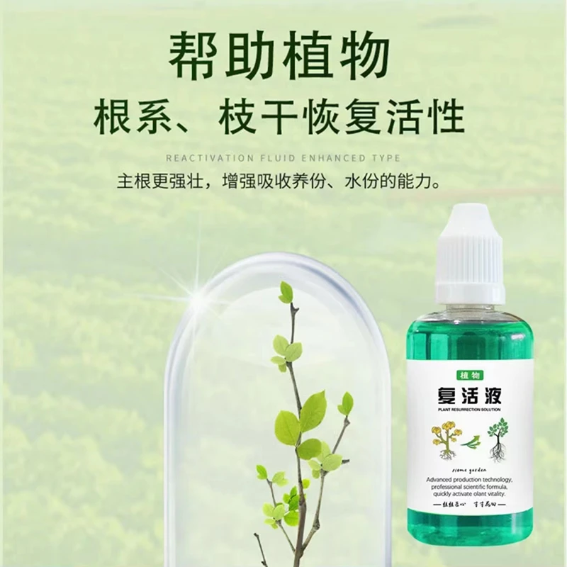 【植物复活液】通用型肥料针对光杆植物发黄掉叶生长素快速生根液