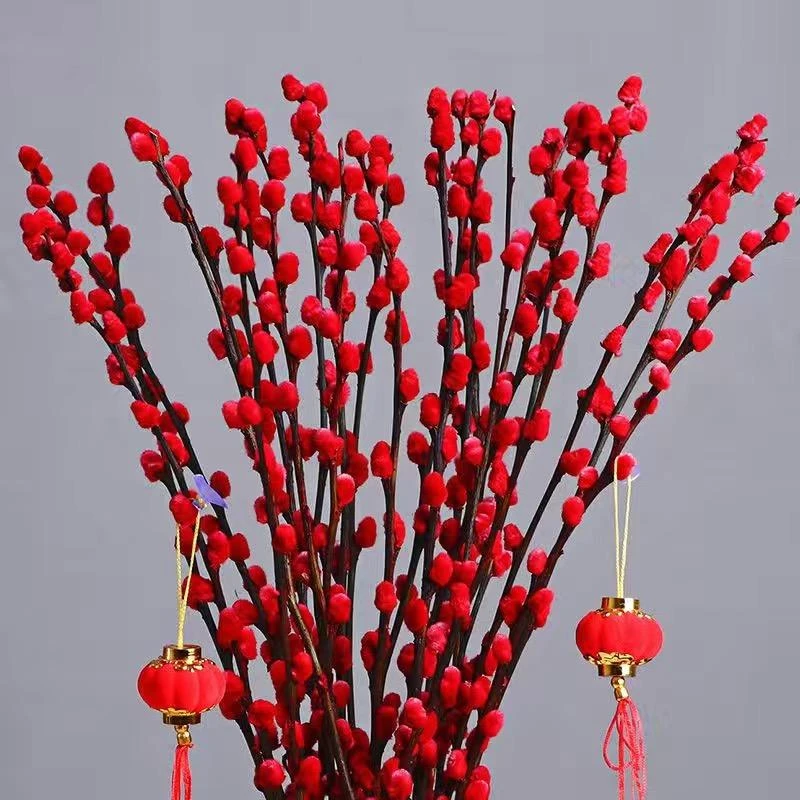 (粉丝福利)年宵花银柳真花新鲜室内花卉装饰（银柳花银柳真花鲜枝