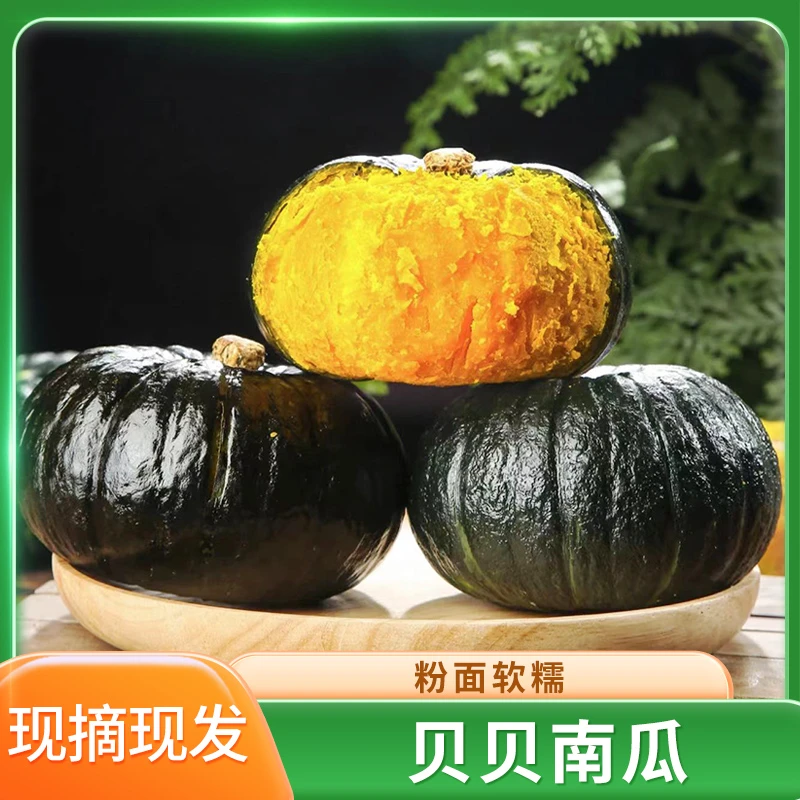 山东贝贝南瓜3-5斤宝宝辅食南瓜粗粮甜糯产地直供饱腹板栗味好吃
