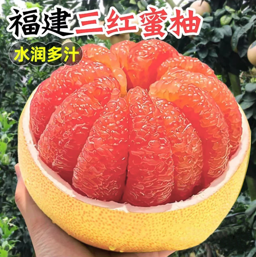 福建琯溪红心蜜柚 新鲜采摘 清甜多汁 香甜爆汁爽口甜蜜5-9斤柚子