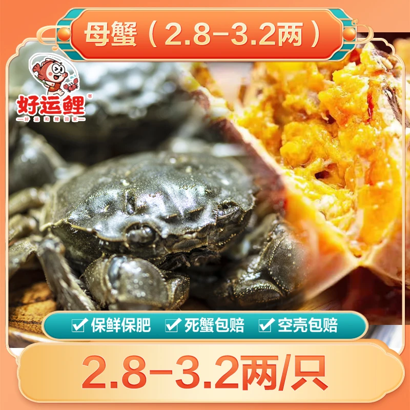 【绑腿·纯母蟹2.8-3.2/只】包活包肥，好运鲤大闸蟹