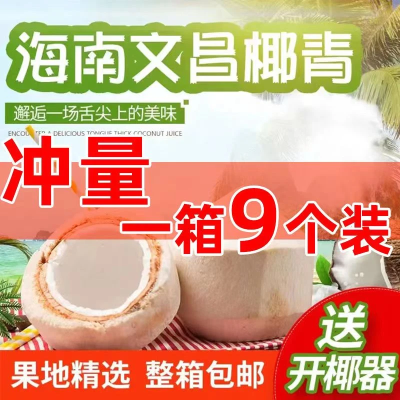 海南新鲜椰青椰9个装(送开椰器+吸管）椰青食用新鲜椰子水果生鲜