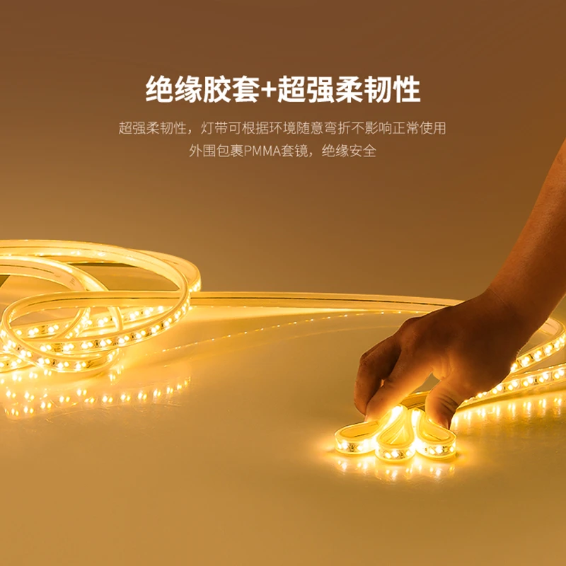 led灯条灯带220v客厅家用吊顶软灯带条户外超亮长条线灯灯带