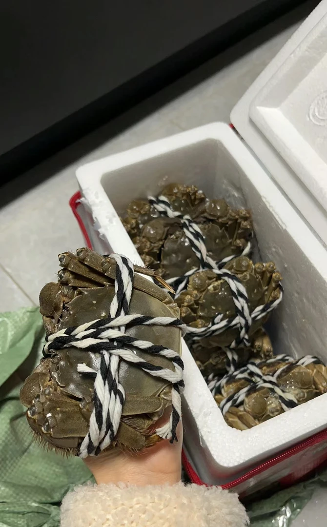2.5母六只（活），，，，