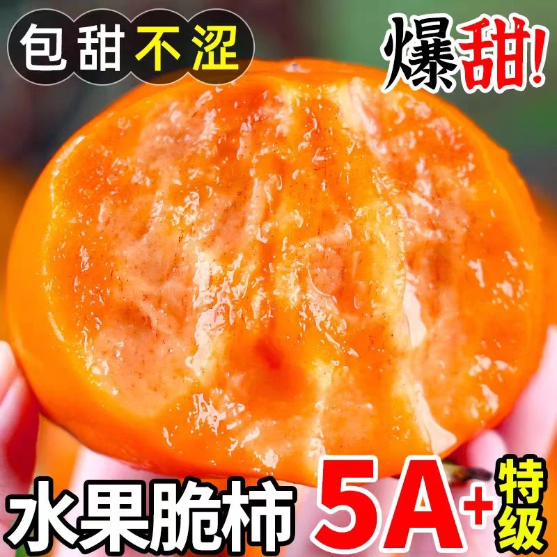 阳丰巧克力脆柿子正宗脆柿当季新鲜水果脆甜硬柿子甜柿子整箱包邮