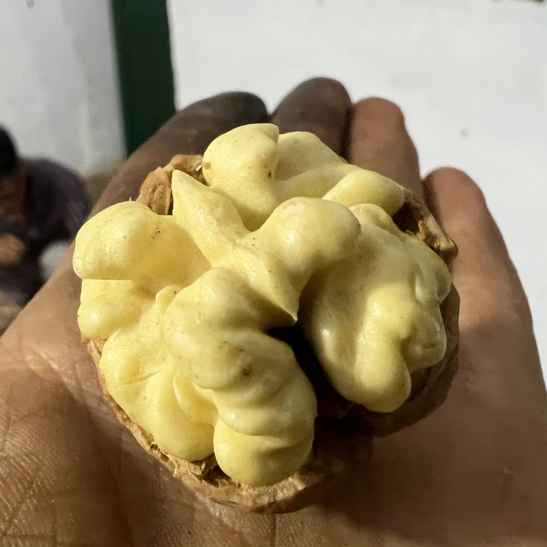 甘肃庆阳脱皮核桃