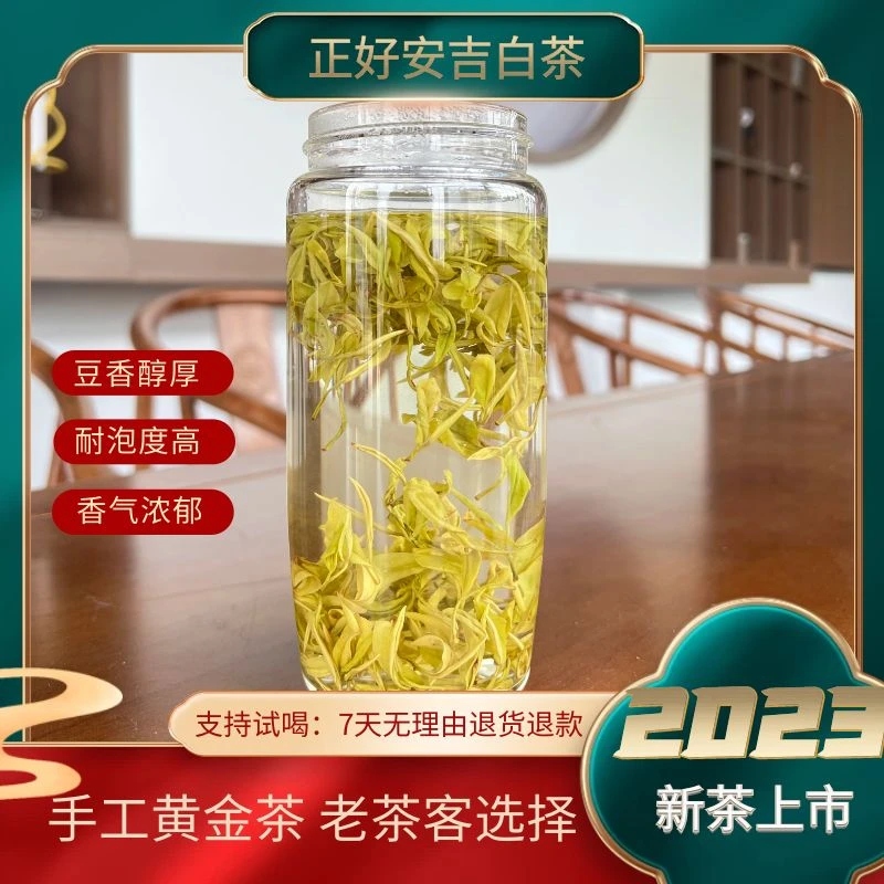 【10号手工黄金茶】2023年新茶黄金茶溪龙核心产区春茶新鲜春季茶场