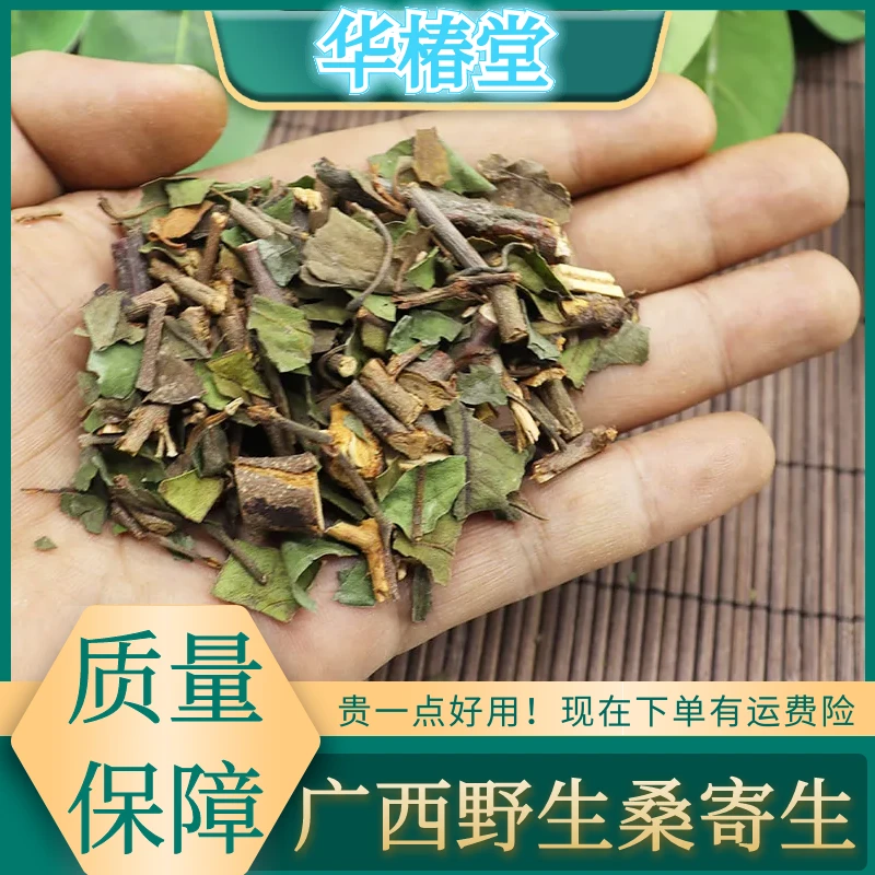 正宗桑寄生干货野生桑寄生槲寄生500-1000克包邮广西桑寄生非葛根