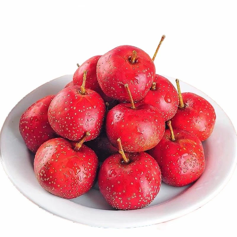 【整盒】梦国都红山楂 约290份