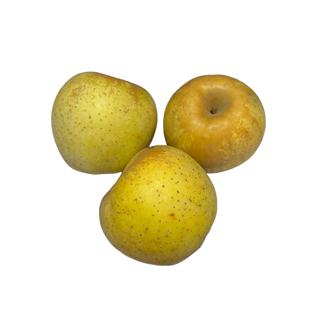 【整装】黄金维纳斯苹果 【香甜脆】约500g/份