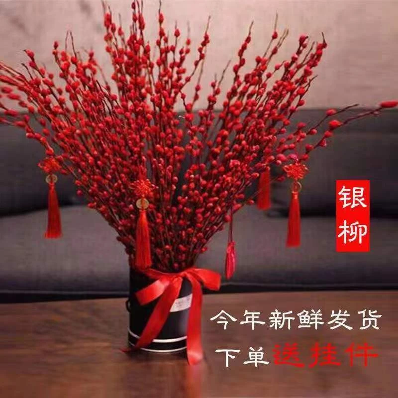 银柳真花鲜枝客厅干花摆件红色年宵花卉水培植物室内干枝红柳鲜花