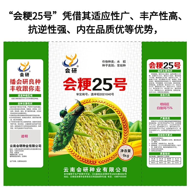 云贵川中高海拔水稻种子旱稻种子会粳25号水旱两用旱稻种子购买