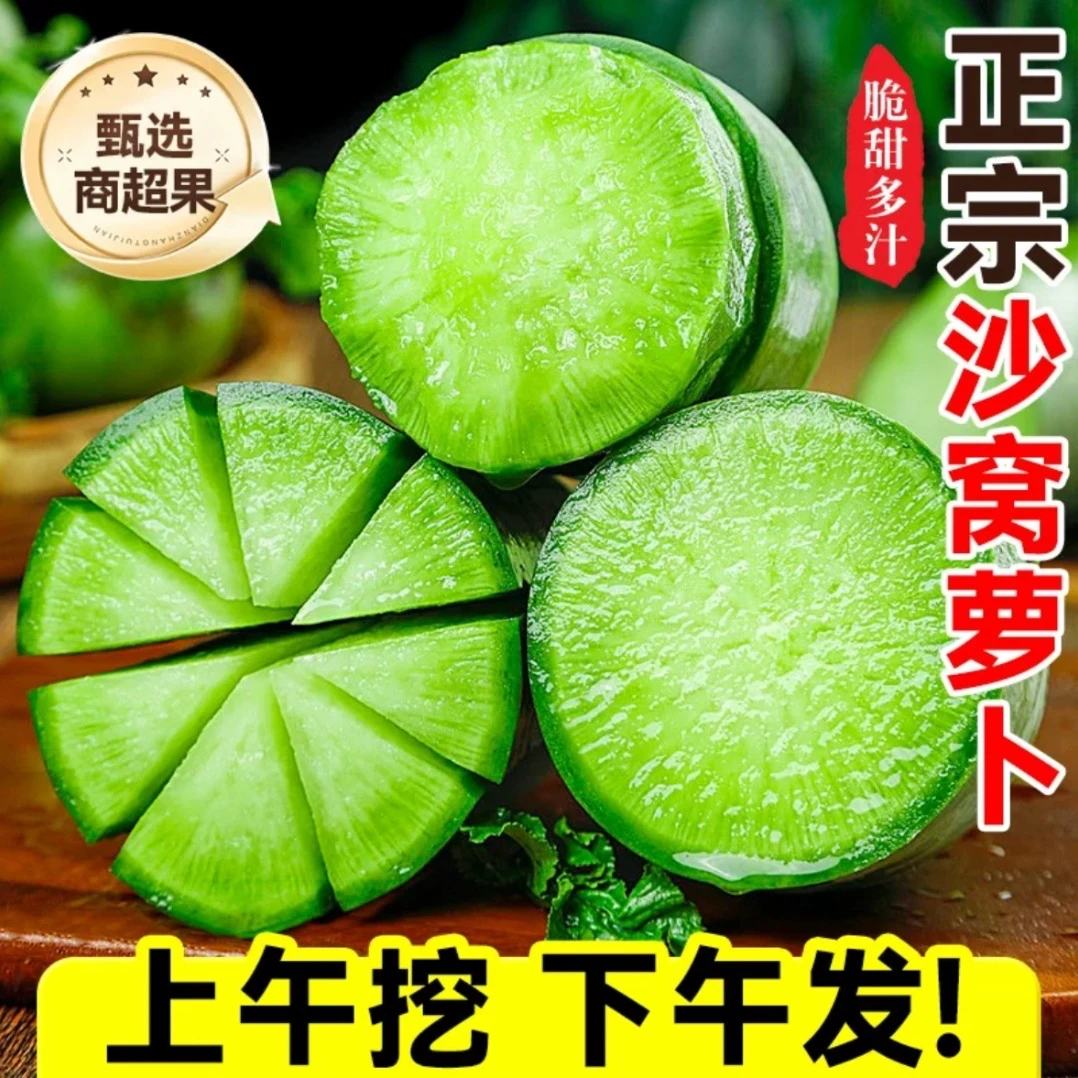 正宗沙窝萝卜水果萝卜甜脆水果型新鲜青萝卜