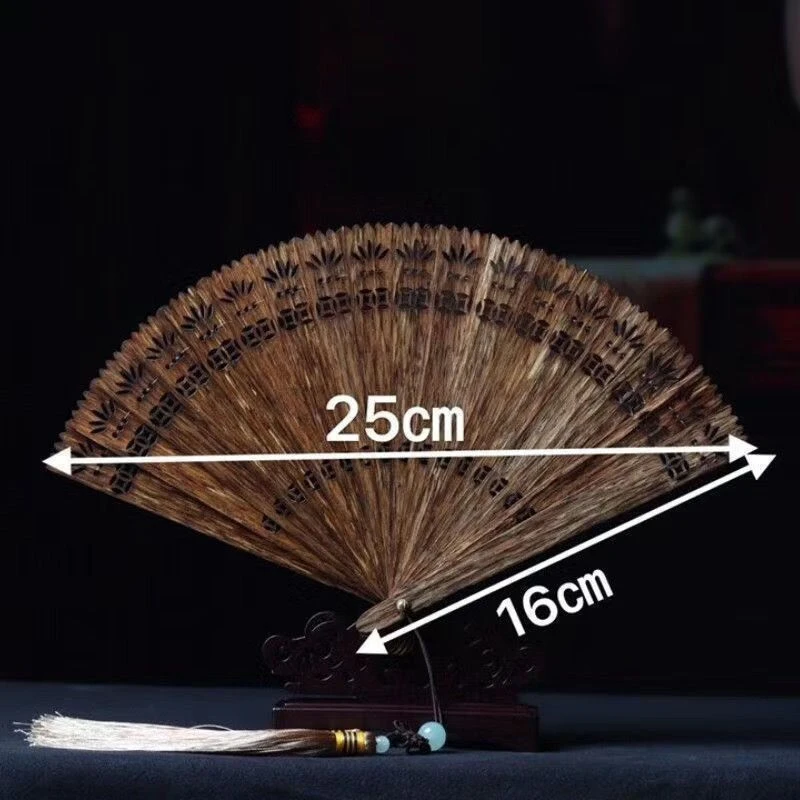 越南芽庄5A排油扇