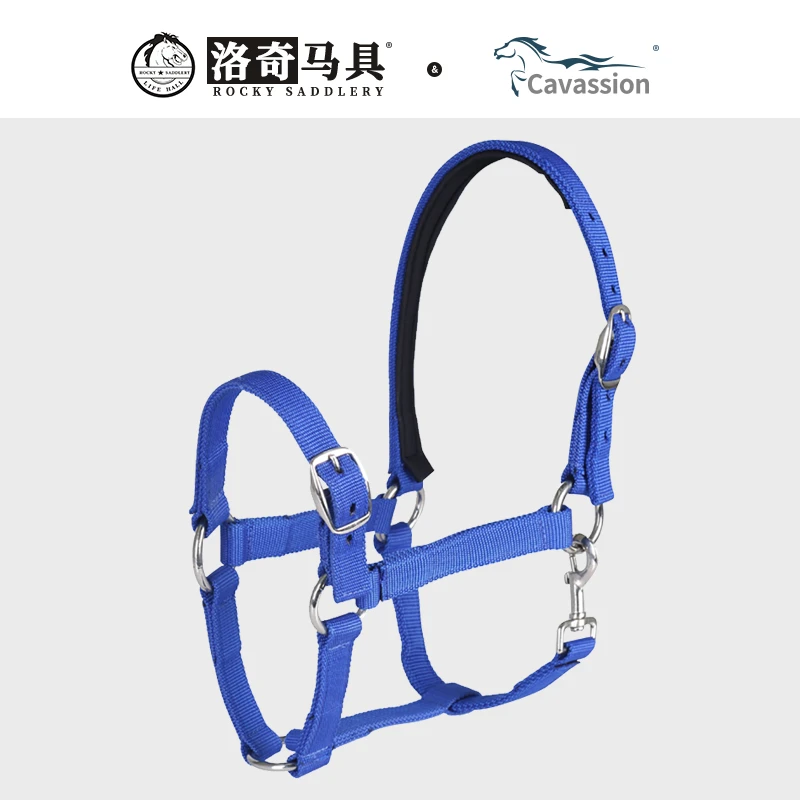 Cavassion马笼头 牵马笼头 可调节 红色黑色蓝色 洛奇马具8218003