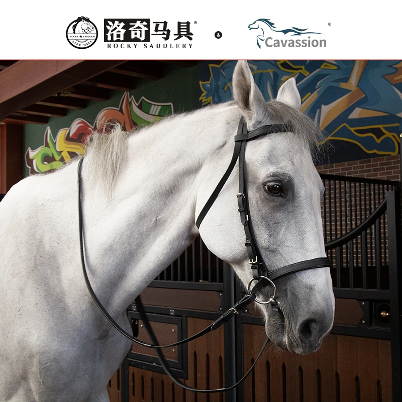 PVC水勒缰 马用水勒 缰绳 水勒缰 英式马水勒缰 马术用品8208008