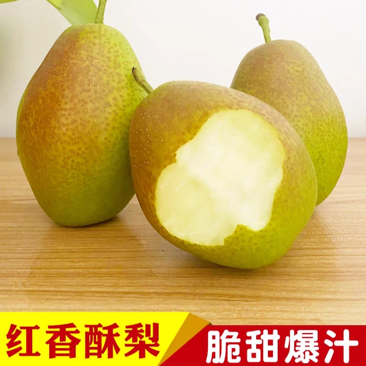 【脆甜】红香酥梨梨子新鲜水果当应季整箱香梨脆甜5斤包邮青雪酥梨