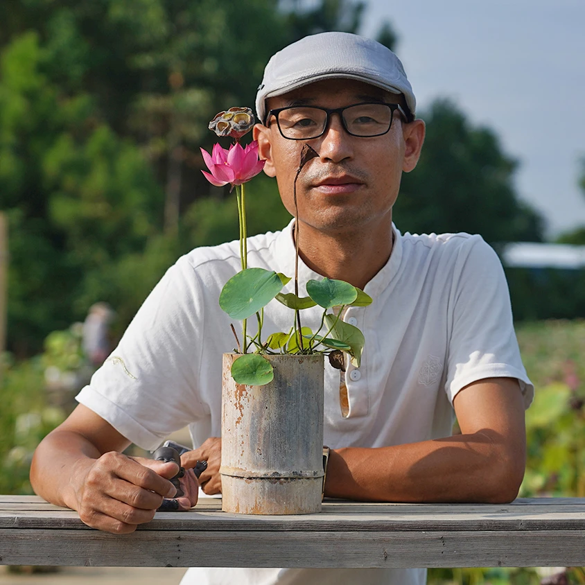 周劲松【精英•颐羞周劲松小微型粉红色盆栽水生植物碗莲荷花种藕苗