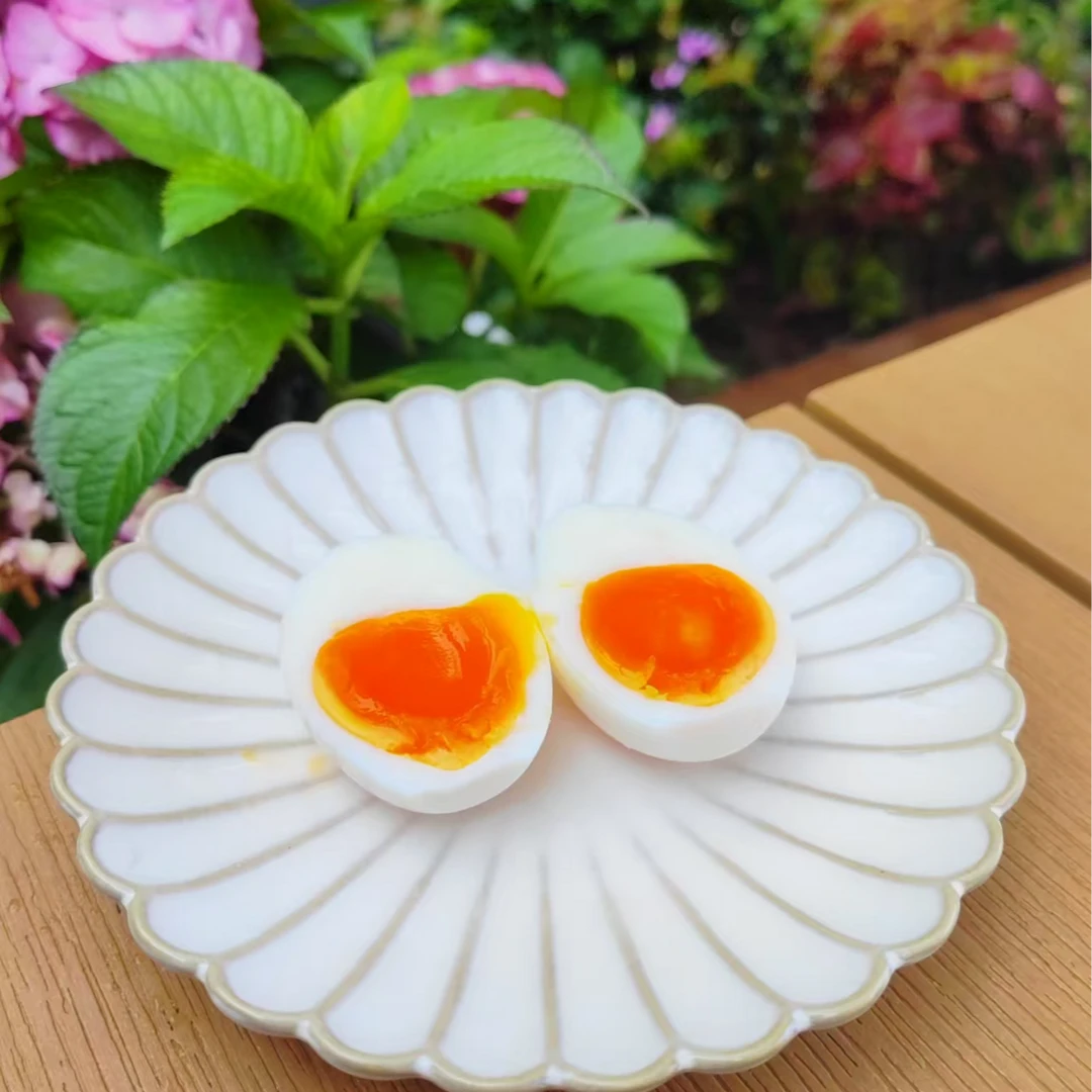 【蛋凰道】高卵磷脂可生食鸡蛋早餐营养鸡蛋10枚试吃装老少皆宜现货