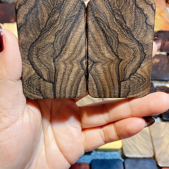 破布木（黑柿木）h****1