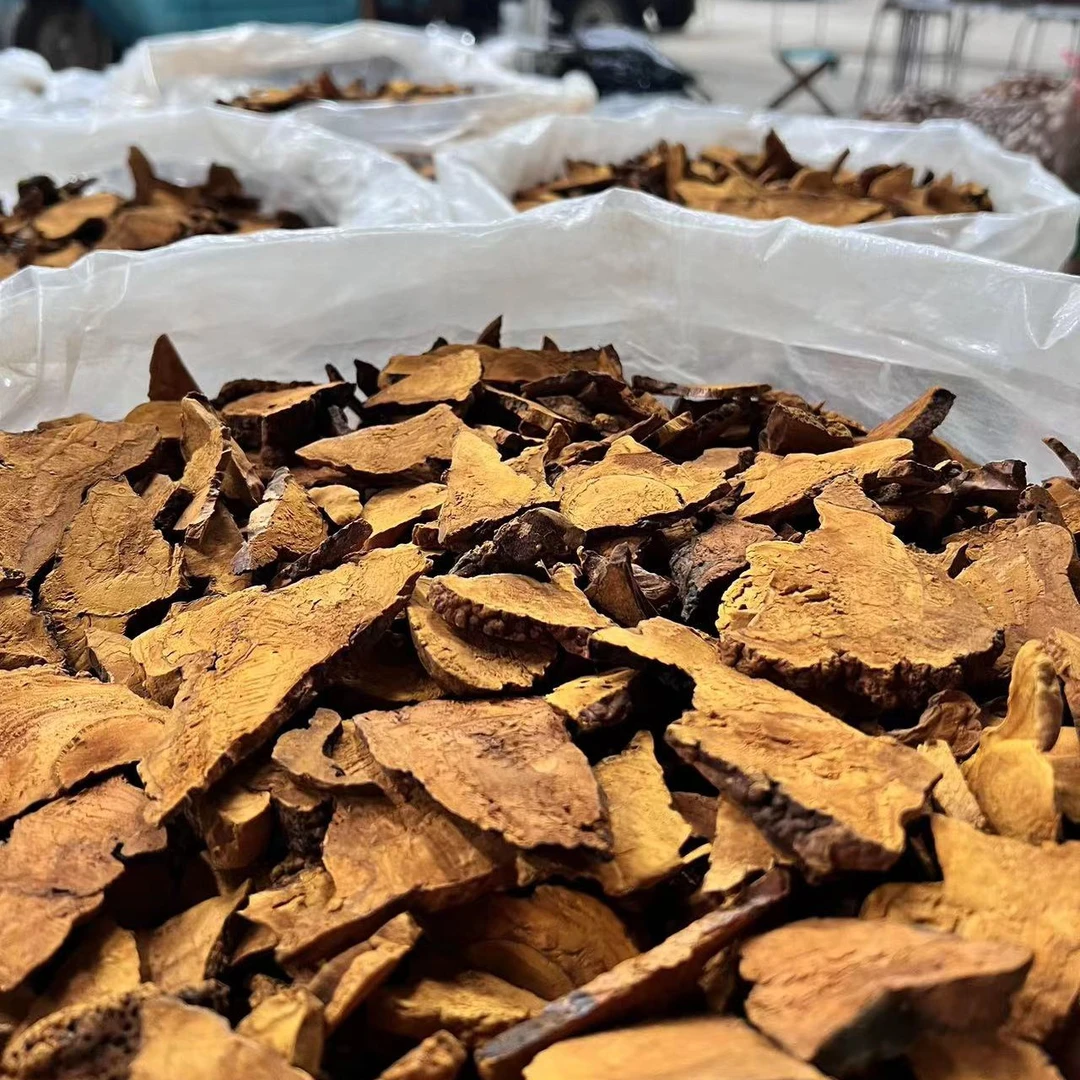 （手选满切满黄）长白山精品金边桑树黄切片