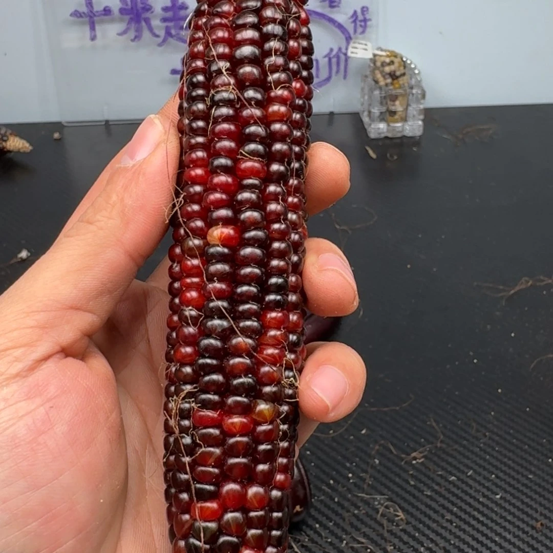 柏香籽/百香籽吊坠桃****摊