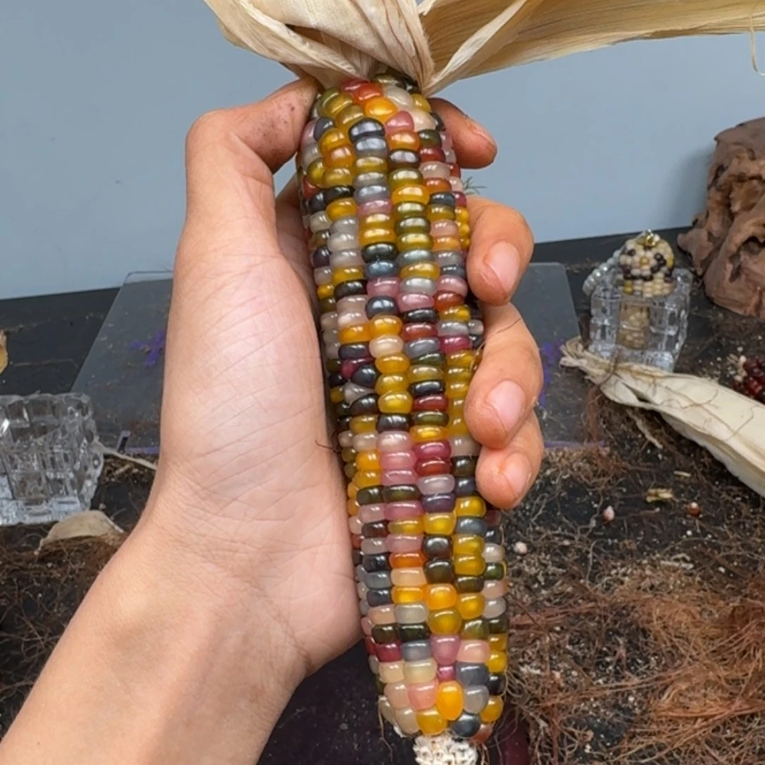 柏香籽/百香籽吊坠咕**噜